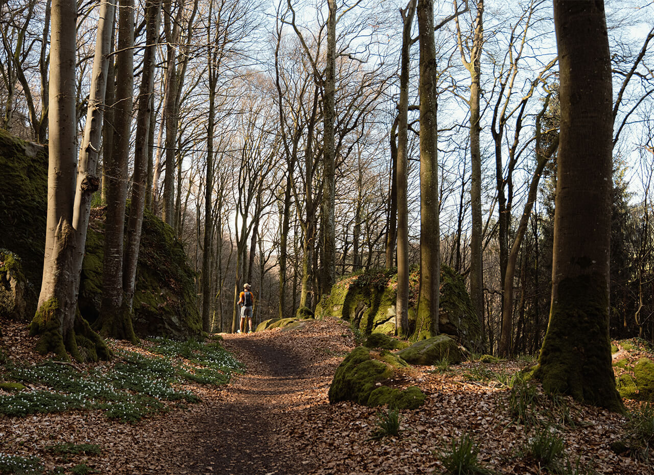 Mullerthal Trail &ndash; Luxembourg